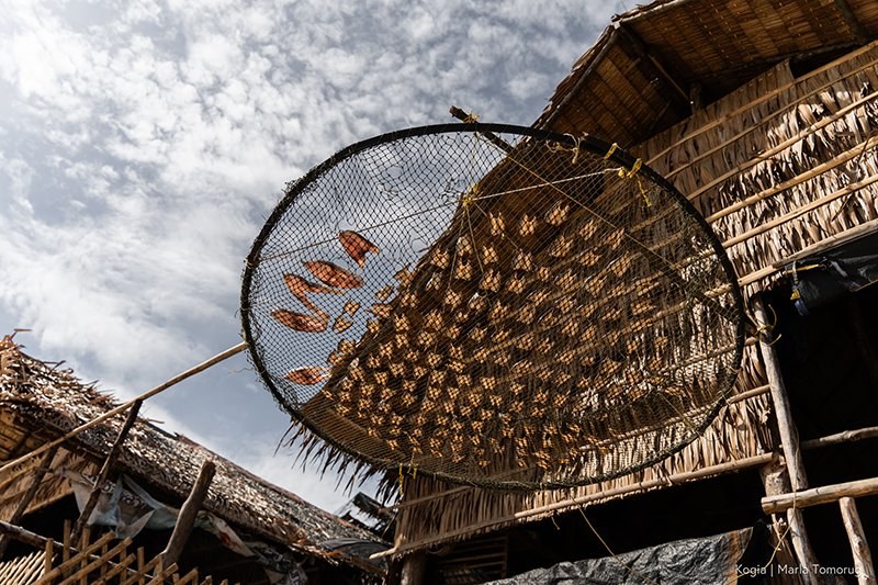 Traditional woven fish trap